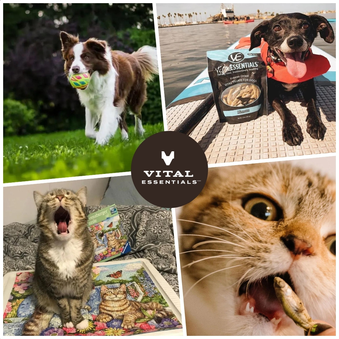 About Vital Essentials Pet Food