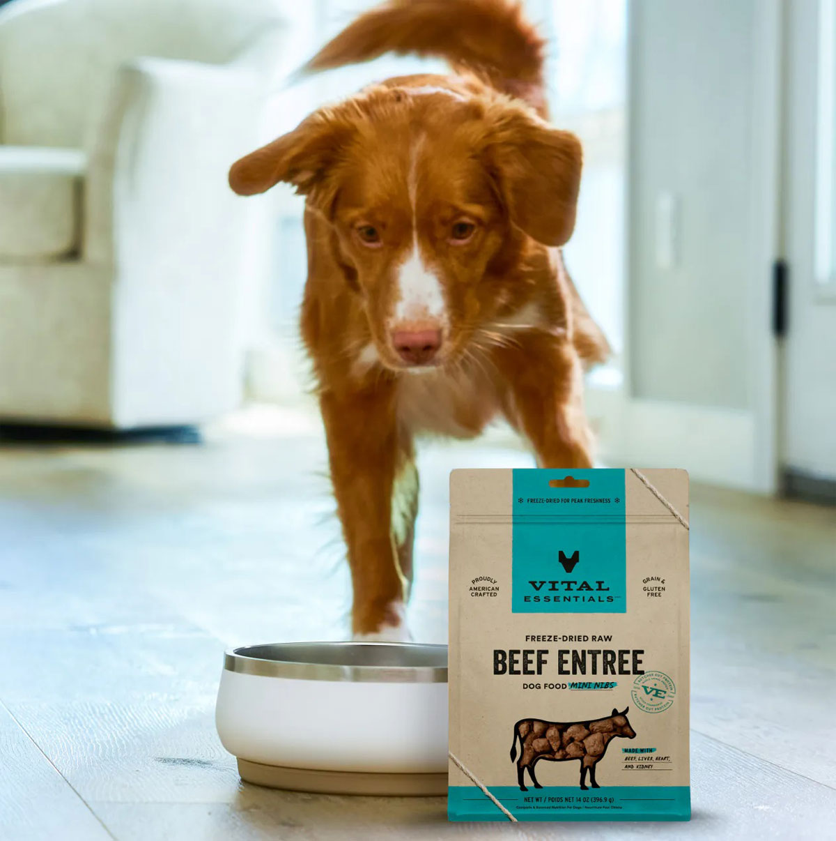 The Best Dog Food Toppers For Optimal Health